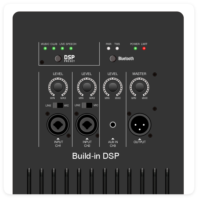 DSP2509 Højt omkostningseffektiv multifunktionsklasse AB-forstærker med DSP